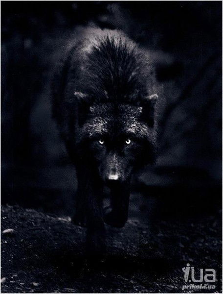 Семён Радонов