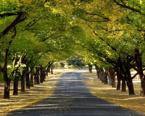 Ванда Салбиева