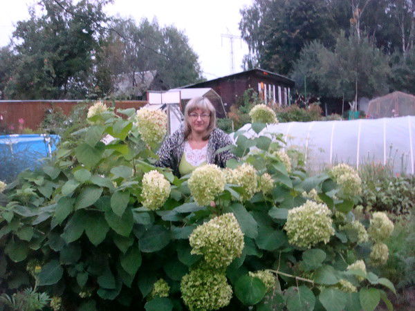 Светлана Белобровик