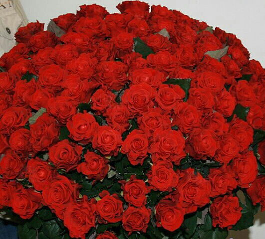 Озода Набиева