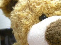 Александр Петров