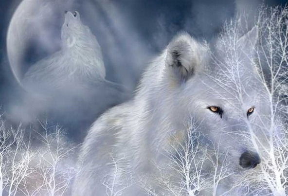 Андрей Вдовенко