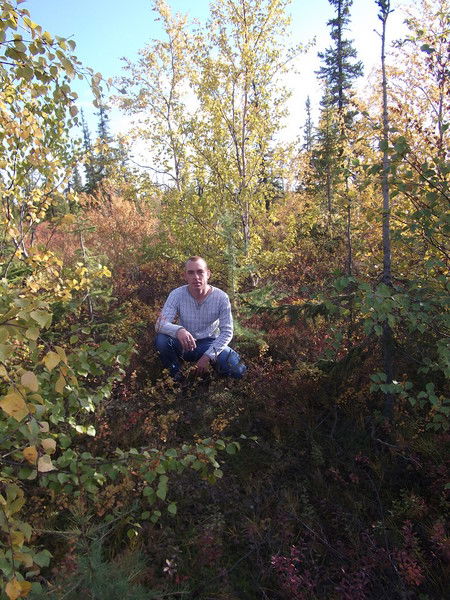 Анатолий Лисин