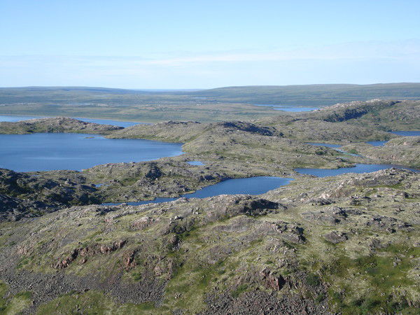 Анастасия Милова