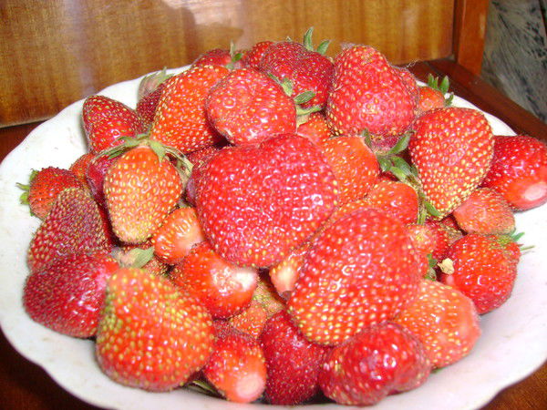 Наталья Владимировна