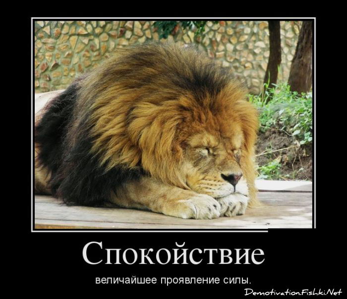 Вохид Саъдулоев