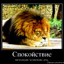 Вохид Саъдулоев