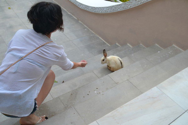 Анастасия Пономарева