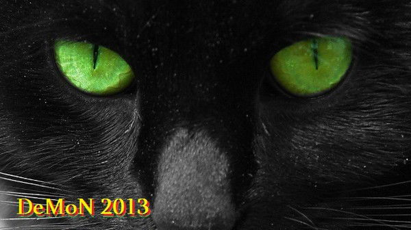 Андрей Сергеев