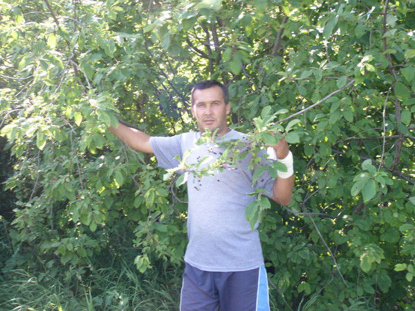 Алик Нигматов