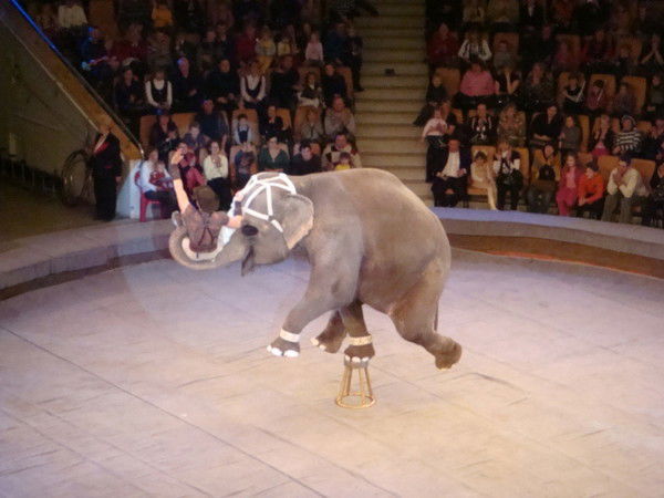 Олег Никифоров