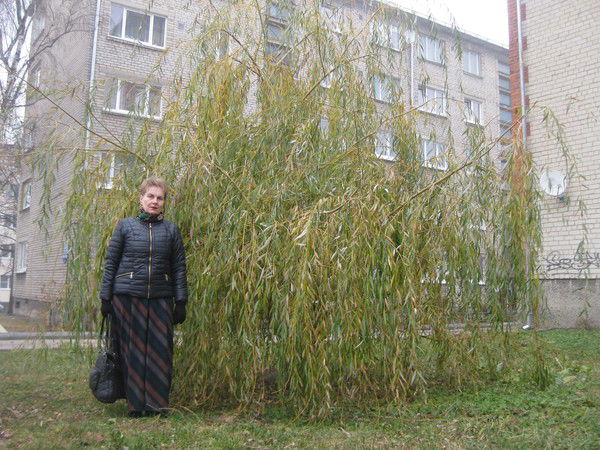 Ирина Дмитриева