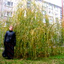 Ирина Дмитриева