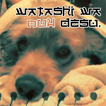 Пич Кошелев