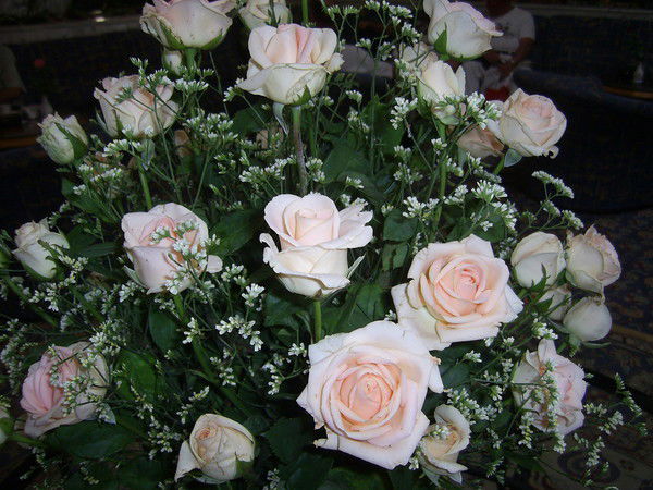 Елена Артюховская