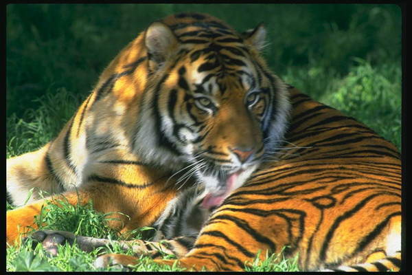 Cергей Боярчук