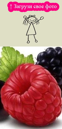 Татьяна Богутова