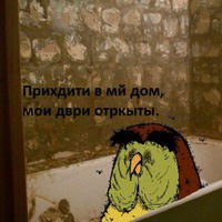 Василий Владимирович