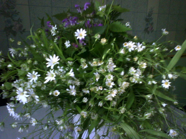 Екатерина Овчинникова