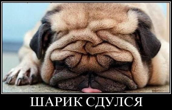 Вова Корзунин