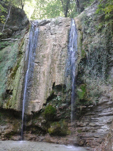 Ольга Беляева