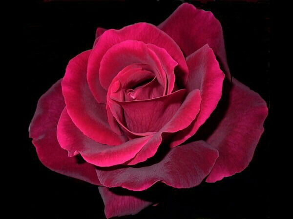 Ирина Балабенкова