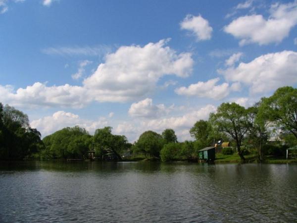 Екатерина Малыковцева