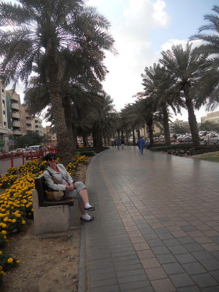 Дроздова Елена