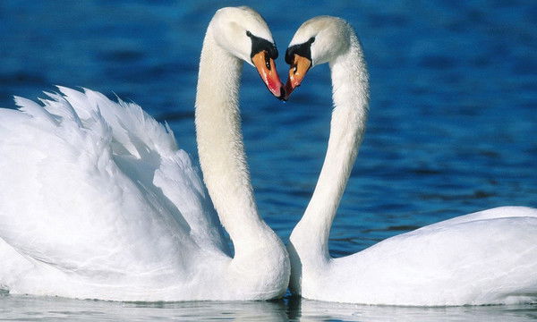 Светлана Nikolaevna