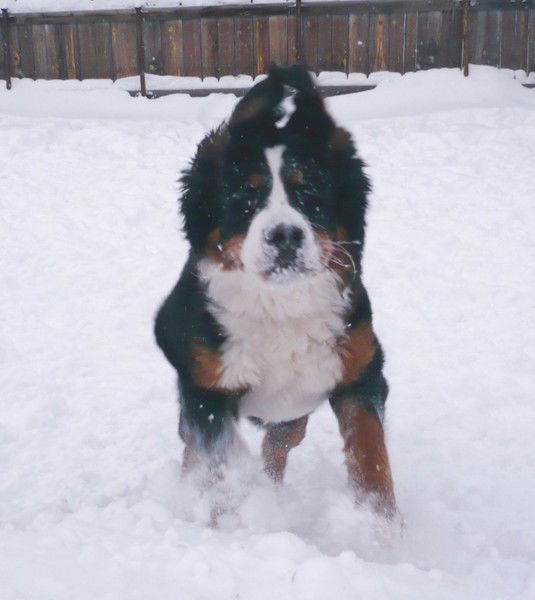 Елена Давыдова