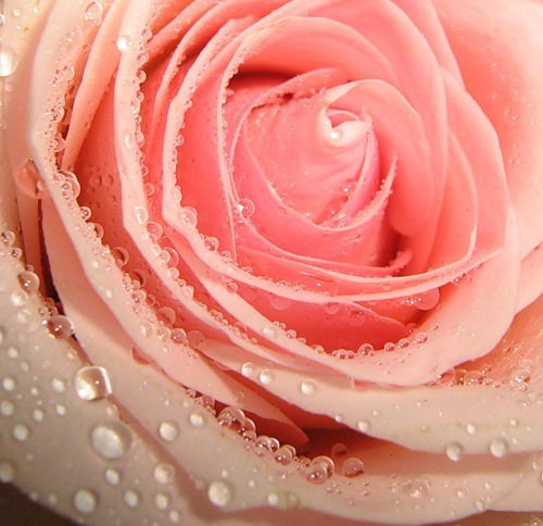 Заира Багаева