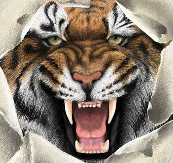 Солдатенков Дмитрий