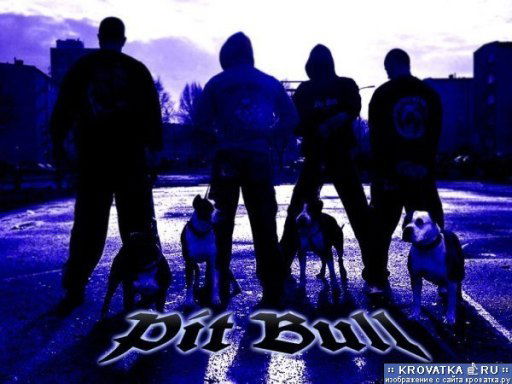 Илья Самигулин