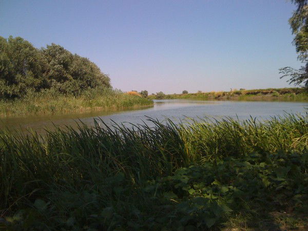 Акмарал Сагындыкова