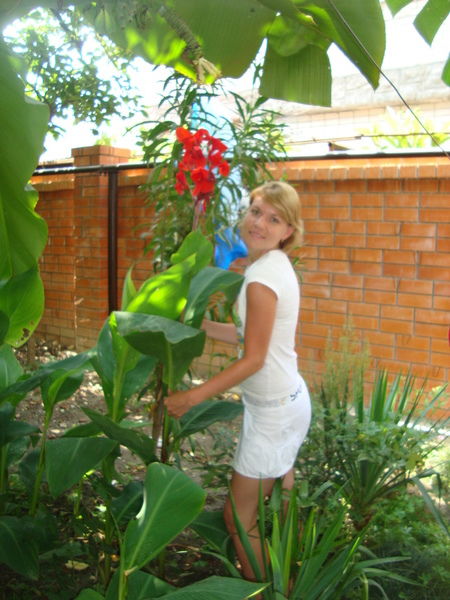 Елена Донская