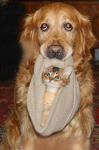 Рухсора Пулатова