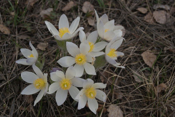 Татьяна Даровских