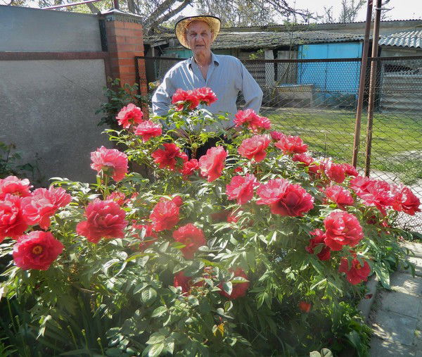 Анатолий Долинский