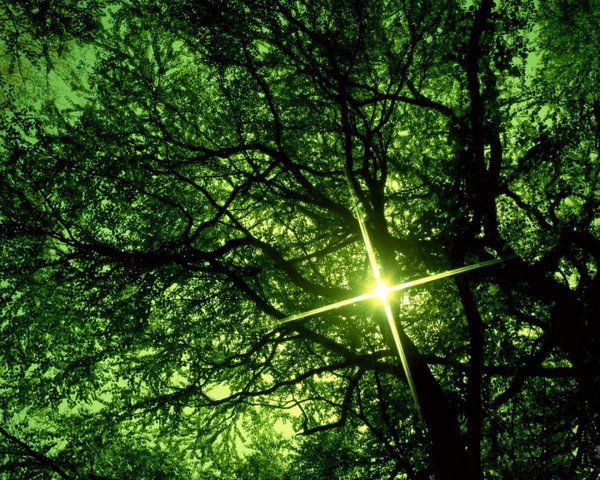 Жюврей Лучкин