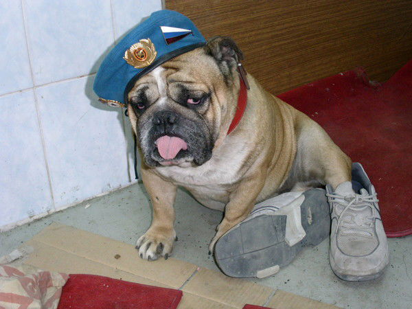 Андрей Таловиров