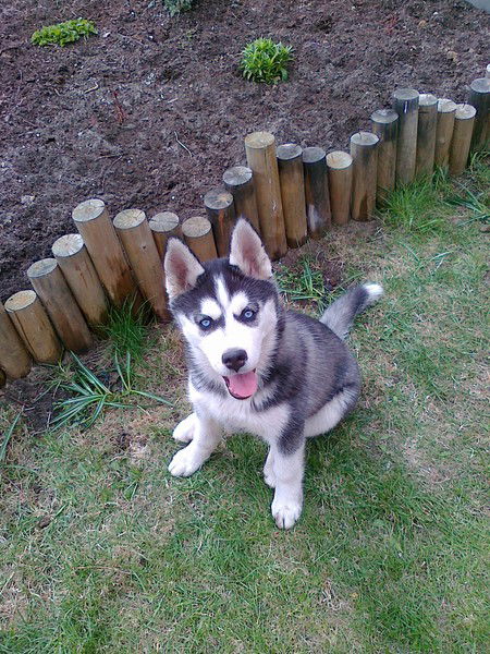 Валера Цыпанов