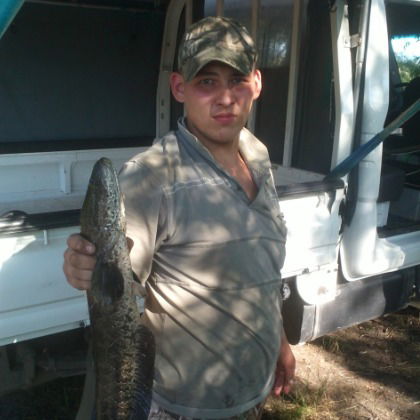 Коля Путиенко