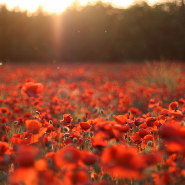 Татьяна Щигрева