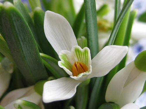 Ольга Владимировна