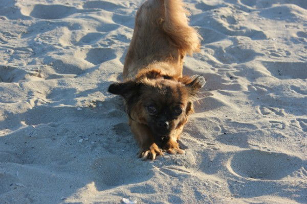 Людмила Ходырева