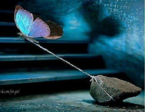 Ольга Чухина