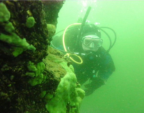 Сергей Панасенков