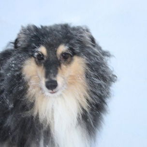 Marusya.kapustina.97