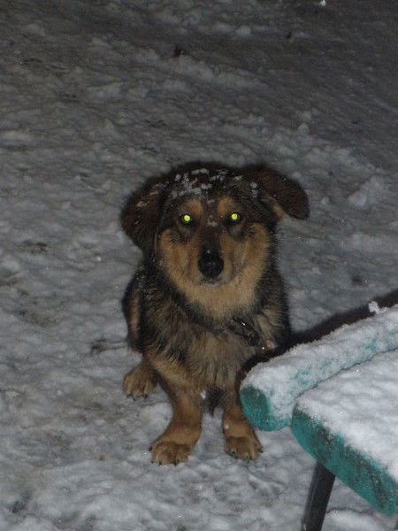 Сергей Сербин