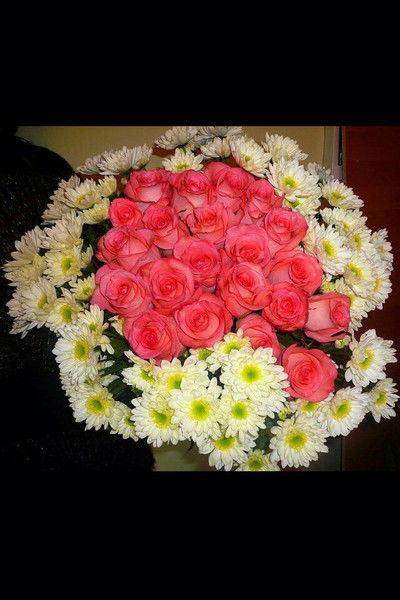 Наташа Чернышова